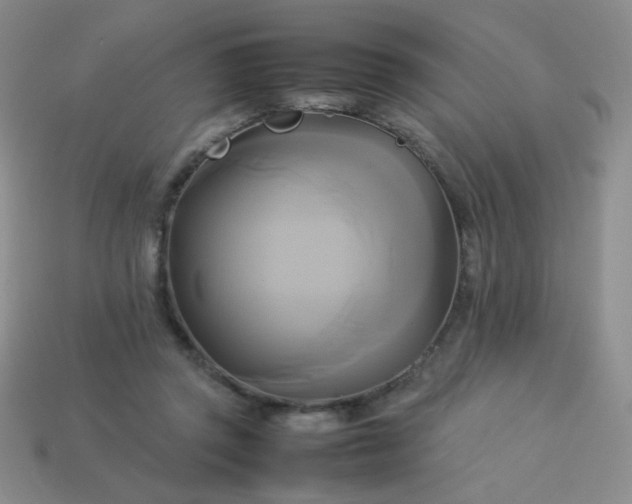 X0000114150357200910221551