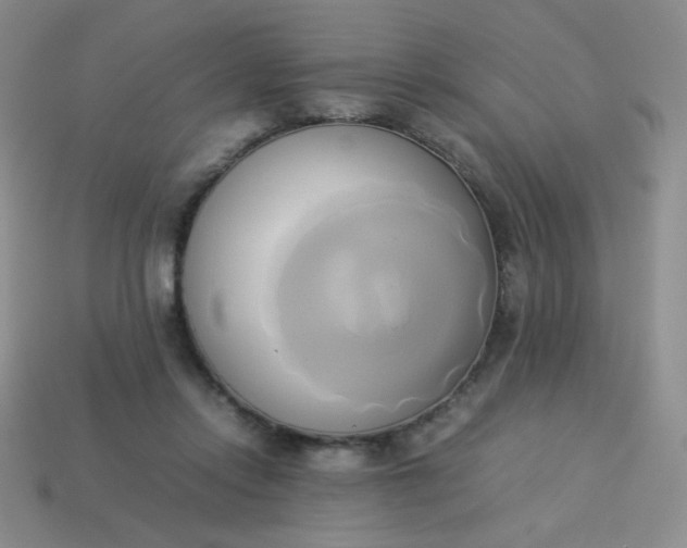 X0000114150358200910221551