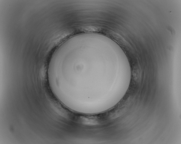 X0000114150359200910221551