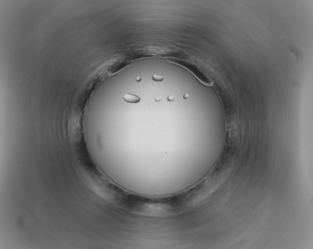 X0000114150360200910221551