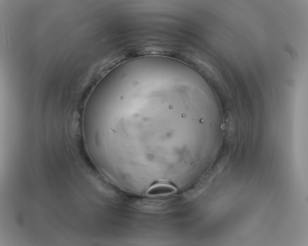 X0000114150361200910221551