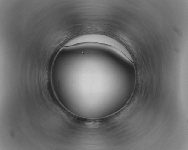 X0000114150362200910221551