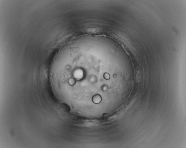 X0000114150363200910221551