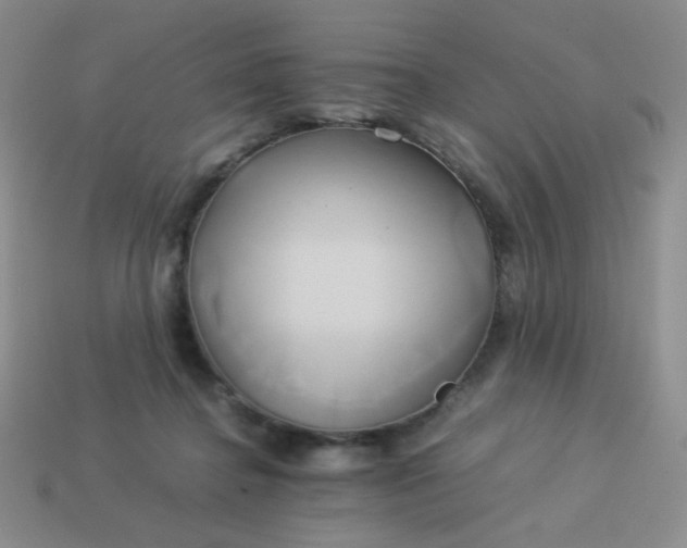 X0000114150364200910221551