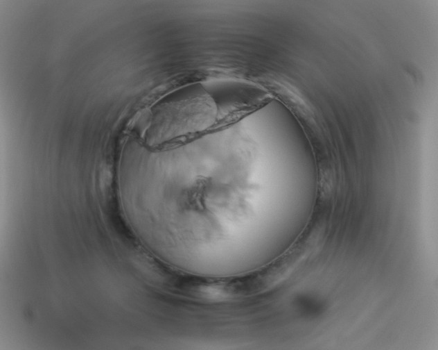 X0000114150365200910221551