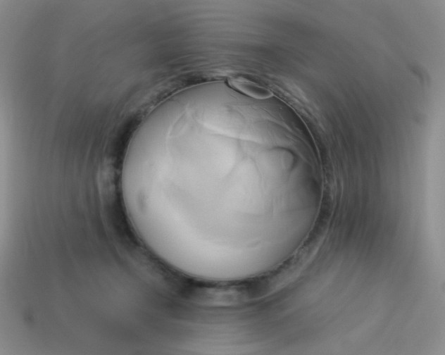 X0000114150366200910221551