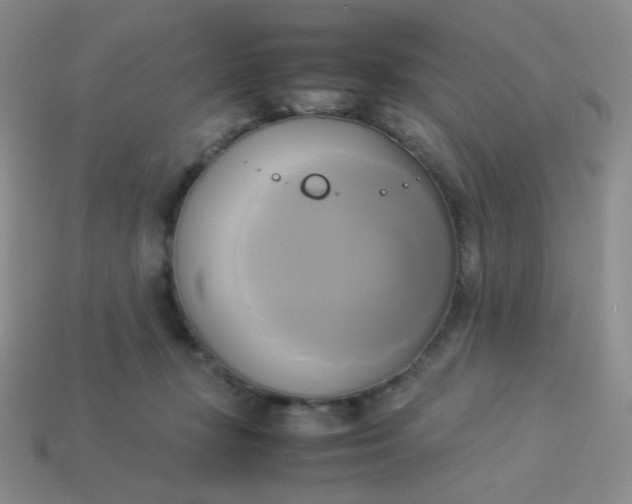 X0000114150367200910221551