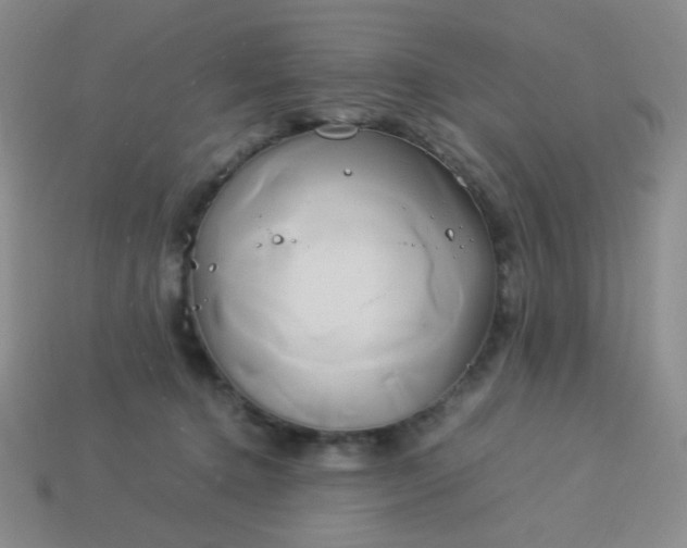 X0000114150368200910221551