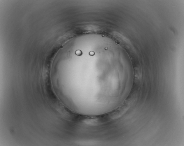 X0000114150369200910221551