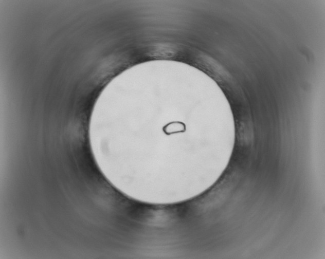 X0000114150370200910221551