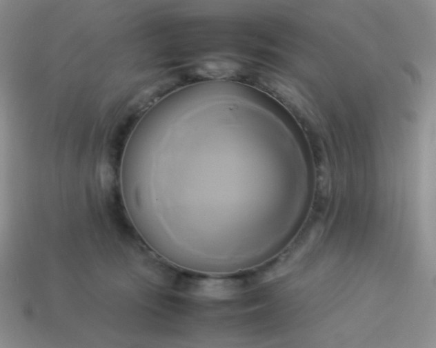 X0000114150371200910221551