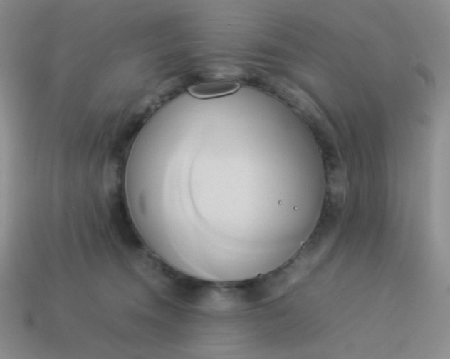 X0000114150372200910221552