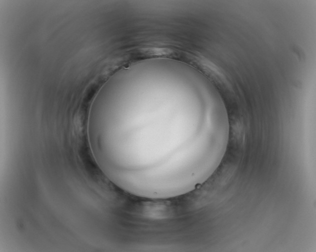 X0000114150373200910221552