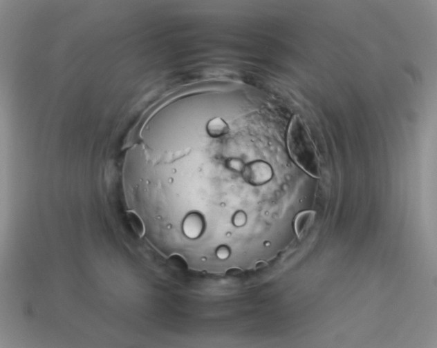 X0000114150375200910221552