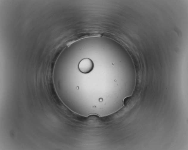 X0000114150376200910221552