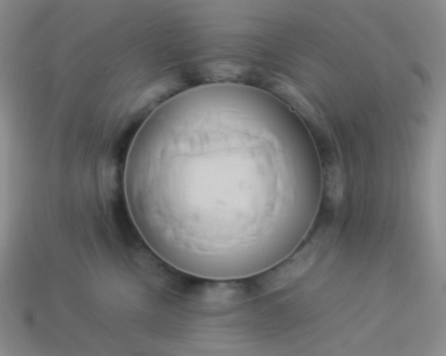 X0000114150378200910221552