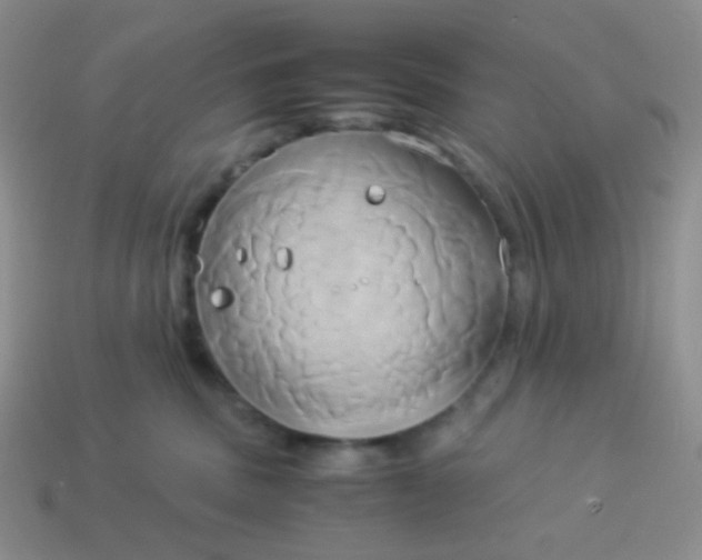 X0000114150379200910221552