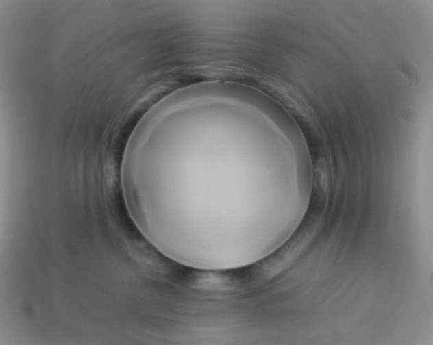 X0000114150380200910221552