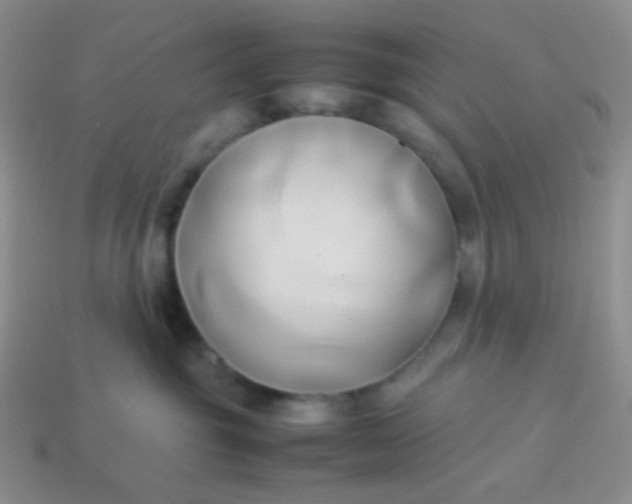 X0000114150381200910221552