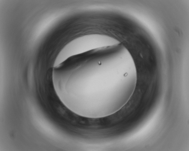 X0000114150382200910221552