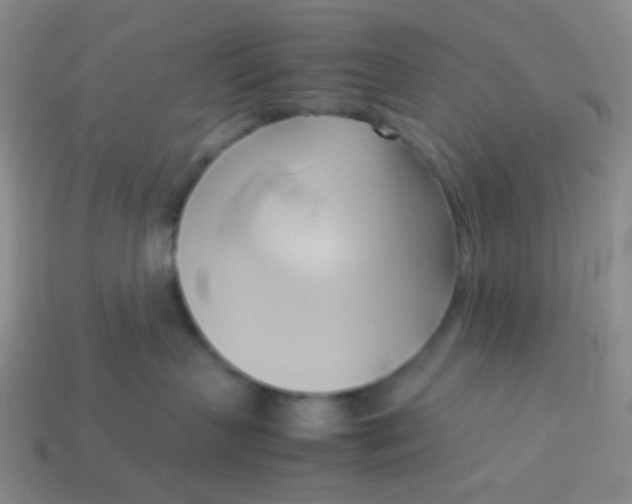 X0000114150383200910221552