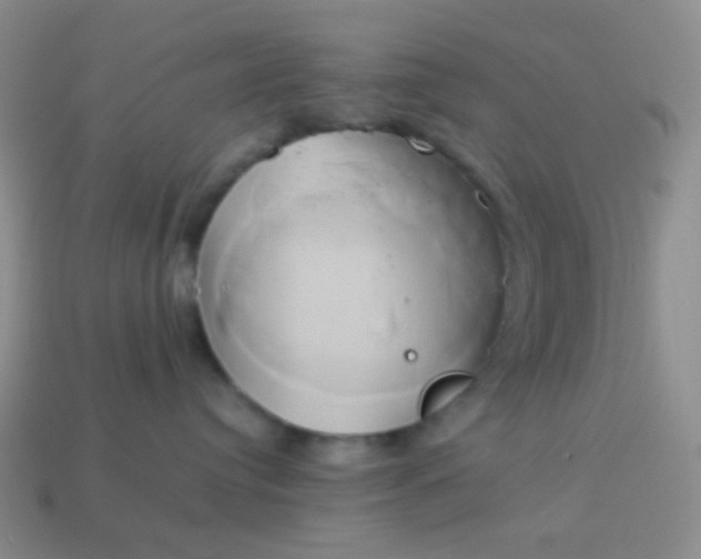 X0000114150384200910221552