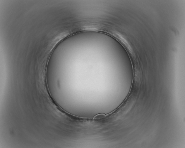 X0000114150385200910221551