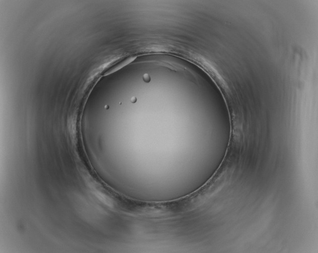 X0000114150386200910221551