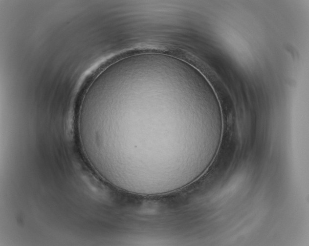 X0000114150388200910221551