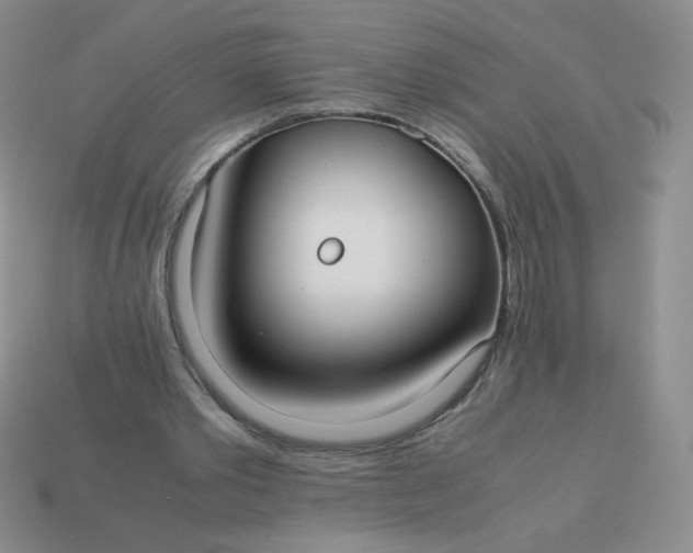 X0000114150389200910221551