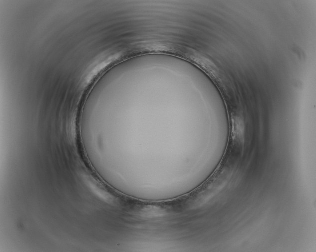 X0000114150390200910221551