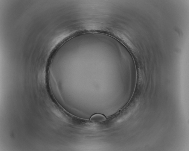 X0000114150391200910221551