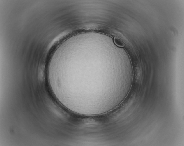 X0000114150392200910221551