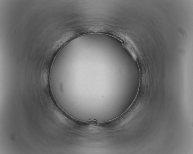 X0000114150393200910221551