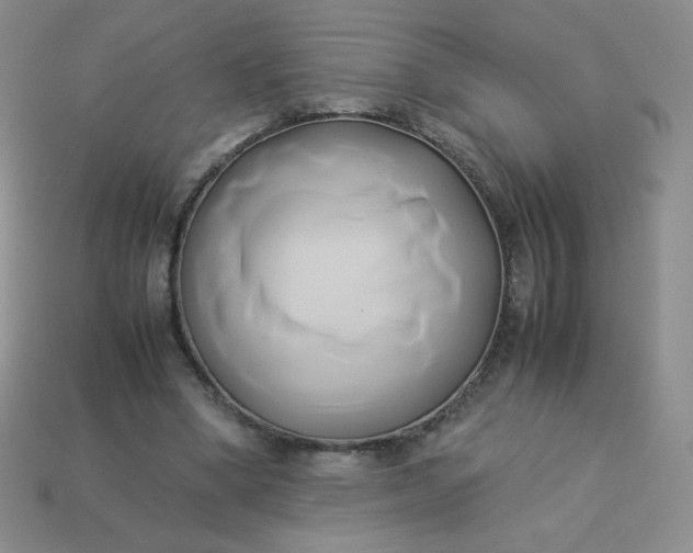 X0000114150394200910221551