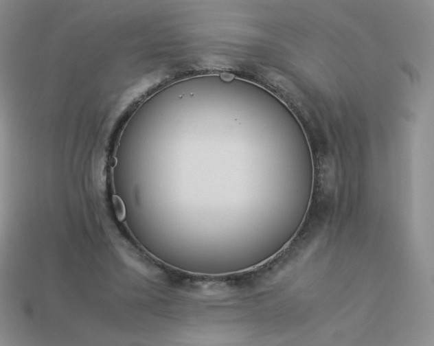 X0000114150395200910221551