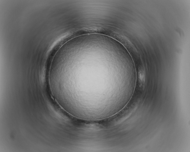 X0000114150396200910221551