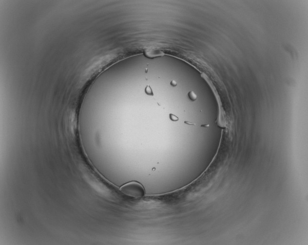 X0000114150397200910221551