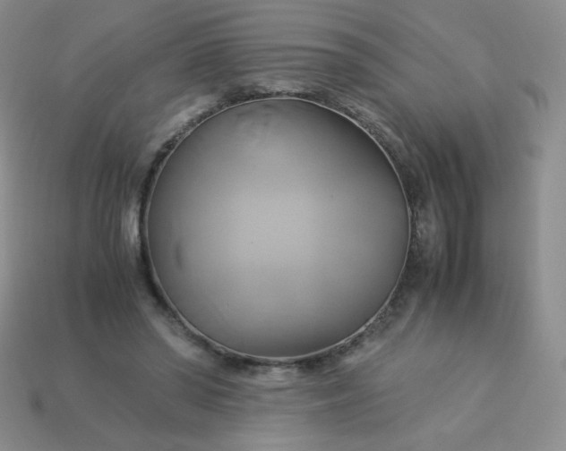 X0000114150398200910221551