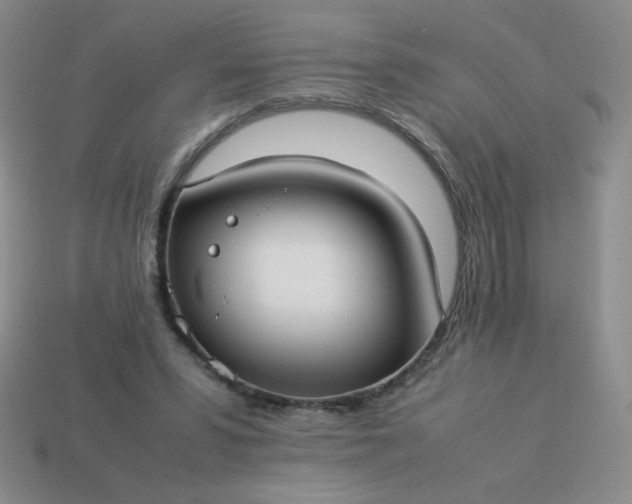 X0000114150399200910221551