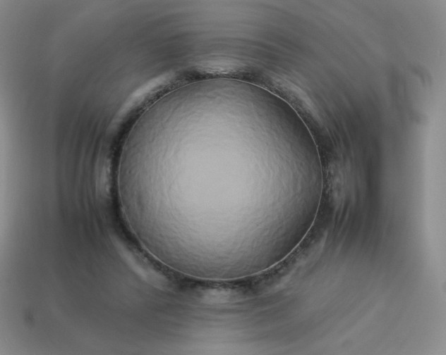 X0000114150400200910221551