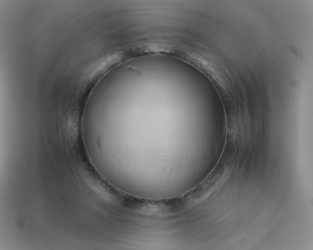 X0000114150402200910221551