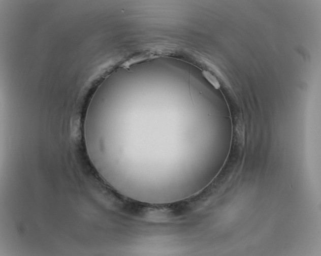 X0000114150403200910221551