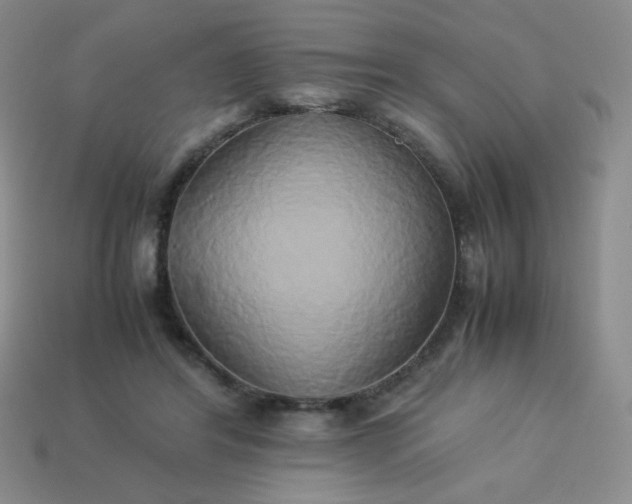 X0000114150404200910221551