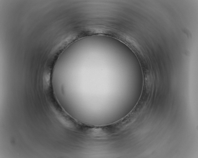 X0000114150406200910221551