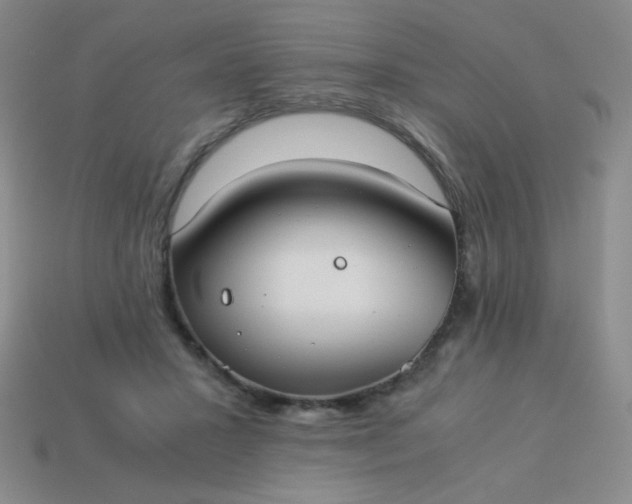 X0000114150407200910221551