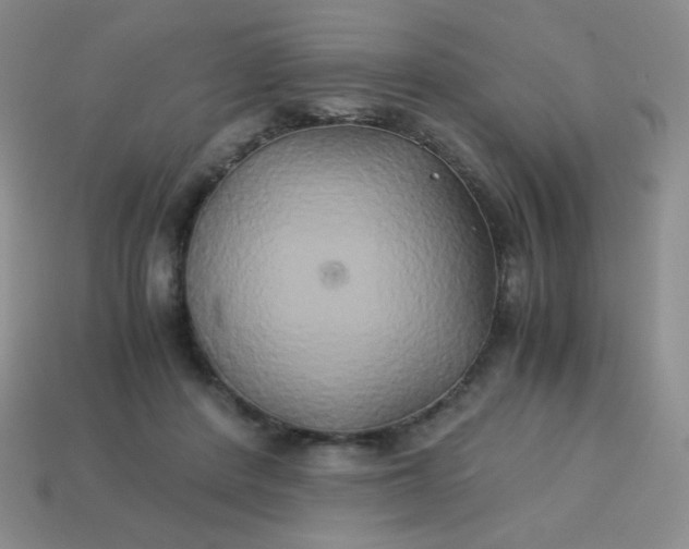 X0000114150408200910221551