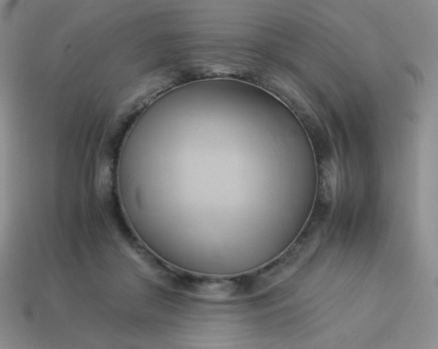 X0000114150410200910221551