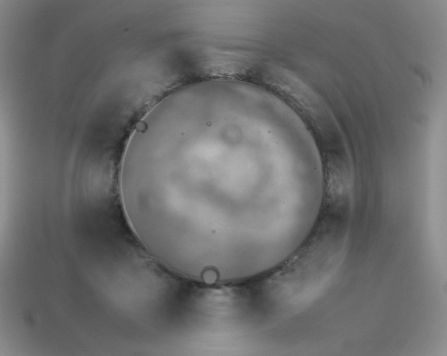 X0000114150411200910221551