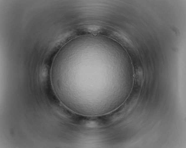 X0000114150412200910221551